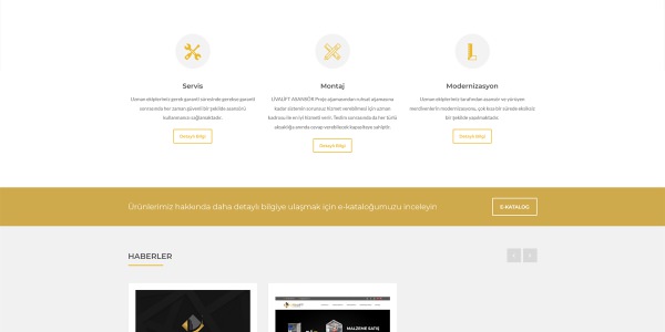 Livalift Asansör - Konya Web Tasarım Web Sitesi