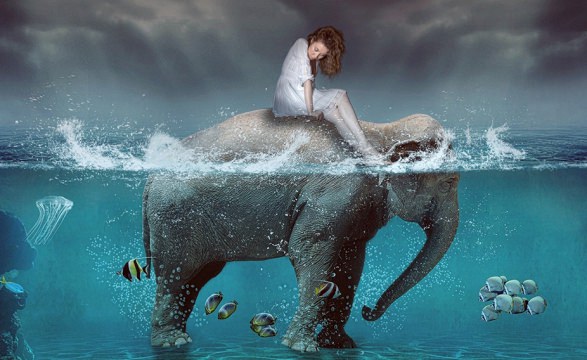 Google Ads, Adwords Reklamı Verin, Google Reklam Ajansı